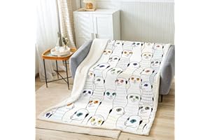 Loussiesd Erdmännchen Wohndecke 150x200cm Kinder Jungen Karikatur Wild Tier Kuscheldecke Niedlich Südliches Afrika Mungo Flanell Fleecedecke Bett Sofa Dekor Kollektion Flauschige Decke,Mehrfarbig 86