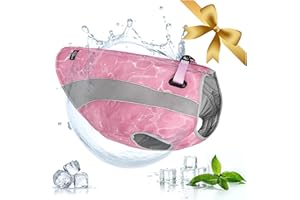 VIVI BEAR Gilet Rafraîchissant pour Chien, Veste Refroidissante Réfléchissante avec Harnais, Fermeture Éclair Réglable, Anneaux en Titane et Gilet Léger et Respirant pour la Chasse, l'Entraînement et le Camping