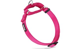 Hyhug Strong Nylon Anti - Escape Martingale Dog Collar for Large Medium Small Boy and Girl Dogs - Walking Training Daily Use. (Medium, Rose Red)