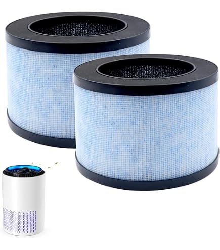 PUREBURG 2 Filtri HEPA 4 In 1 Di Ricambio Per Purificatore TOPPIN TPAP003