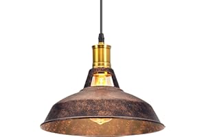 iDEGU Lampadario a Sospensione Industriale 27cm Lampada da Soffitto Vintage in Metallo E27 Lampadario Soffitto Retro Lampada a Sospensione per Sala da Pranzo Soggiorno Cameretta Ristorante (Ruggine)