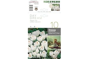 AGRONOM TESTED IN THE GARDEN AGRONOM | CROCUS - JEANNE D'ARC | Bulbos de flores perennes | Flores Blanco | Se cultivan en jardines de flores, macetas, se plantan en céspedes en flor | Paquete de 10 bulbos de flores