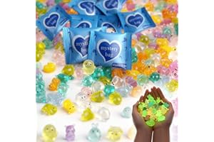 Wsndyjia 50Pcs Resin Animals Mystery Bags, Mini Glow in the Dark Ducks, Luminous Glass Animal Figures Blind Bags Garden Accessories Sea Aquarium Ornaments Decorations Blind Box