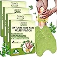 Pipihome Pain Relief Patches, 40Pcs Knee Pain Relief Patches, Knee Patches for Pain Relief, Wormwood Herbal Pain Relief Plaster, Pain Relief Patches Relieves Muscle Soreness in Knee, Neck, Shoulder