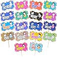 Party Decorz-Never Miss A Chance to Celebrate Marathi Language Baby Shower Photo Booth Family Party Props Set Of 18 Pcs For Baby Shower, Maternity Photoshoot