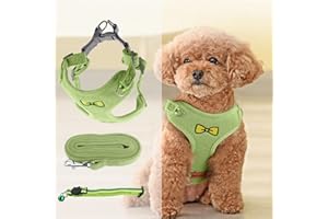 TRUEIN Pettorina Cani di Piccola Taglia per Cuccioli, Chihuahua, Imbottita Riflettente Regolabile, Imbracatura Traspirante, Guinzaglio