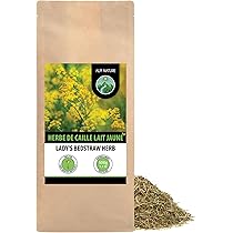 Gaillet Jaune, Gaillet Vrai, Caille-lait Jaune – Ma Botanique