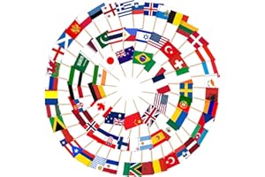 AhfuLife 100 Pezzi Bandierine Stuzzicadenti Multinazionali, Stuzzicadenti con Bandiere del Mondo per Decorare Cocktail, Panini, per Euro Football Match, Coppa del Mondo, Decorazioni Bar