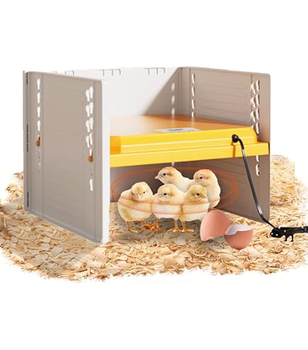 Riscaldatore Polli CISSIYOG 180W - Piastra Termica Regolabile 35-75&deg;C Per Pulcini E Animali