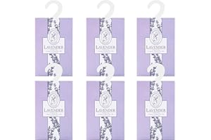 GOPIGITO 6pcs profumatori armadio e cassetti, sacchetti profumati armadio, macchina profumatore per ambiente profumo, armadio deodorante ambienti, antimuffa armadio, fogli asciugatrice profumati (XYC6)