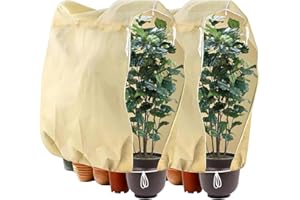 Aolawco 2 StüCk Pflanzenschutz Winter,240x200cm Frostschutz Pflanzen,80g/㎡Winterschutz für KüBelpflanzen mit Zugband und ReißVerschluss Pflanzen Winterschutz DraußEn für Palmen, Olivenbaum