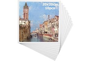 TIXEXO Lienzos para Pintar en Blanco (Pack de 10) 20 x 20 cm,3 mm de Espesor,Adecuado para Entusiastas de la Pintura