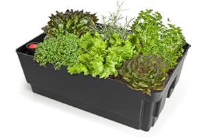 Biolan Planter with Sub-irrigation bottom and Water Level Indicator, 36x57x20cm for fresh herbs, vegetables and flowers - garden planters large outdoor - vegetable planters outdoor - 7l water storage
