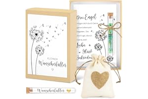 VYLYCIY Wunscherfüller Geldgeschenk, Geldgeschenke Geburtstag Inklusive Grußkarte Geschenkbox Kunststoff Reagenzglas Jutesäckchen, Geldgeschenke für Weihnachten Geburtstag Hochzeit Jugendweihe Abschluss