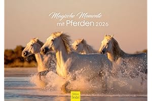 ‎EDITION SEIDEL Edition Seidel Premium Kalender Magische Momente mit Pferden 2026 Format DIN A3 Wandkalender Pferdekalender Pferd Tiere Fohlen Stute Hengst Pony