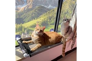 HZSZJMN Large Cat Window Perch 54 x 31 cm, Cat Window Bed with Powerful Suction Cups,Cat Hammock for Cats or Multiple Cats 360° Sunbath Space Saving Cat Window Hammock