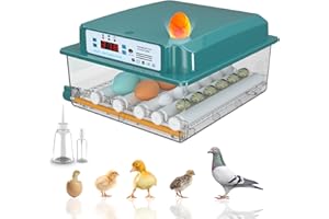 Hethya Incubadora Huevos Gallina, Incubadora de 12-16 Huevos, Incubadora Automática con Volteo Automático de Huevos y Lámparas de Huevo