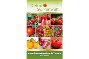 Lot de 10 Sachets de Graines de Tomates à Planter | Jardin potager extérieur, balcon | Harzfeuer, cœur de bœuf, tamina, marmande, cerises supersweet, balconi, goldene könig, san marzano et roma