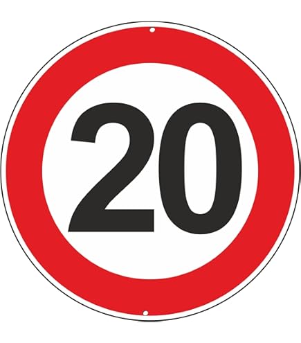 Panneau Rigide Rond Format 20x20cm Interdit De Stationner Découpé à La