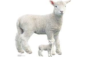 Star Cutouts SC4438 - Sagoma in cartone a forma di agnello, altezza 74 cm