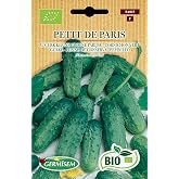 Germisem Organic Petit de Paris Cucumber Seeds 2g
