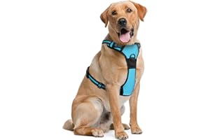 Dog Harness (Large, Blue) for Running, Hiking & Training, Soft-Padded & Adjustable No-Pull Design Pet Harness W/ 2 Leash Clips & Reflective Strips for Safety, by EcoEarth