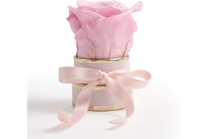 ‎ROSEMARIE SCHULZ HEIDELBERG ROSEMARIE SCHULZ Heidelberg Kleine Rosenbox rosa rund Infinity Rose - Blumenbox 1 echte Blume konserviert haltbar 3 Jahre Höhe ca. 8 cm - keines Geschenk für Frauen (Rosa-Rosa)