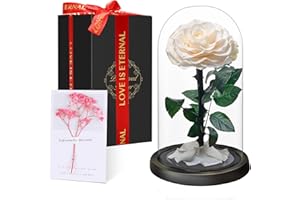 TOULOUBE Eternal Forever Rose in Glass Dome | Fresh Rose Gift | Flower Preserved for 5 Years | Handcrafted | Beauty and the Beast Romantic Gifts for Her | Anniversary, Christmas valentine’s day, White