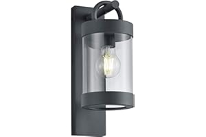 Trio Leuchten Außen Wandleuchte Sambesi 204160142, Alumniumguss Anthrazit , Acryl klar, exkl. 1 x E27