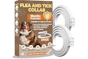 Inpumo Collar Antiparasitario para Perros, Collar Antipulgas y Garrapatas, Apto para Todos los Tamaños, Fórmula Natural Segura, Material Impermeable, Dura 12 Meses (2)