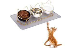 Lvefyti Katzennapf 3er Set, Erhöhter Futternapf Keramik Katzen Napfset Katzenschale Porzellan mit Unterlage Einzeln Erhöht für Hauskatzen Kätzchen 15°Gekippter Wassernapf für Hunde mit Matte(Gold)