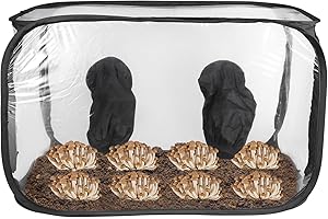Luqixcey Mushroom Growing Still Air Box，35.8''×23.2''×22.8'', Portable Mushroom Grow Bags, plant Grow Tent Kit, Plant Propagation Station, for Spores Mycology Horticulture Supplies