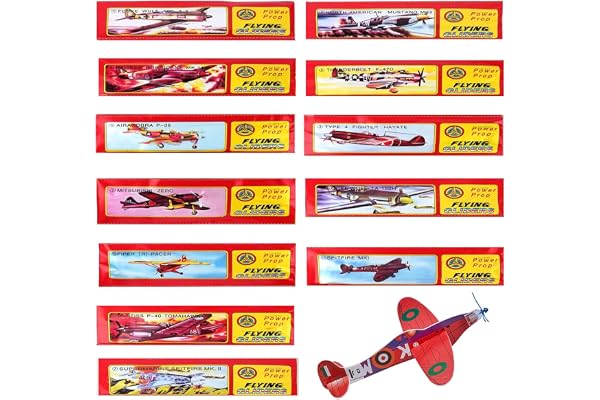 HONGECB 12 Pack Avions en Polystyrène, Avions Jouets, Avion Polystyrene Planeur Planeurs Polystyrène pour Enfants, pour Facile à Construire Jeu Extérieur, pour Petits Cadeaux d'anniversaire