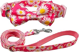 Olahibi Dog Bowtie Collar and Leash Combo Set, Pink Daisy Pattern, Nylon Webbing Plus Cotton Ribbon, 150CM Leash, for Small Dogs.(S, Pink Daisy)