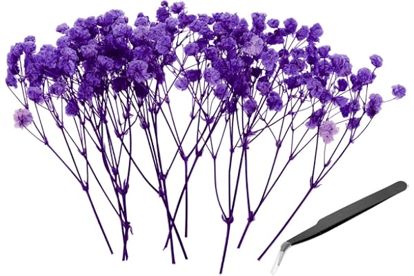 PATIKIL Mini torkade Gypsophila blomkit, 30 st 10 cm blå lila naturligt pressade blommiga paket med pincett för gör-det-själv harts hantverk gåva bröllop julkort dekor blombuketter
