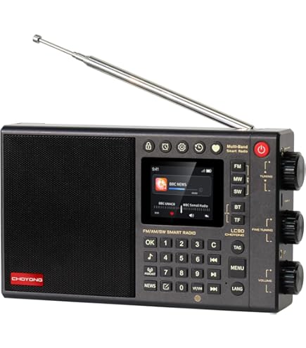 CHOYONG LC90 Multi-Band Smart Internet Radio Portable AM/FM Long
