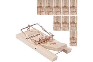 ARTECSIS Piège À Souris - Lot de 10 Tapette À Souris en Bois Réutilisable - Taille 9,5 x 5 x 1,5 cm, Poids : 30 grammes
