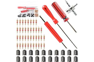 ktxaby 64Pcs Tyre Valve Core Removal Tool,Tyre Valve Repair Kit for Car Bicycle Auto Includes 40 Pcs Valve Cores, 20 Pcs Valve Caps, One 4-Way Valve Tool, 3 Pcs Valve Core Removers