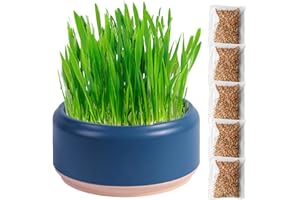 Rianpesn Vaso Idroponico per Erba di Gatto | Kit per La Coltivazione di Erba per Gatti per Uso Alimentare | Fioriera per Erba Gatta, Kit per La Crescita De llerba Gatta Adatto per Uso Interno