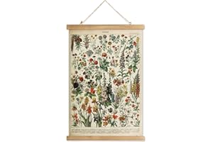 XIAOAIKA Affiche Botanique 'Fleurs' Vintage - Poster Illustratif Floral avec Cadre en Bois, Art Mural Raffiné pour Décorateurs et Amoureux de Botanique, 30 x 40 cm
