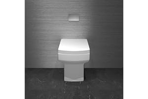 Acezanble Bathroom Back to Wall Toilet Modern Pan Square Cloakroom Soft Close Seat P-T BTW