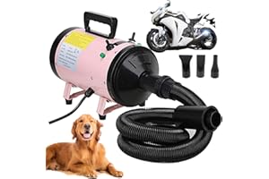 ZanGe Air Force Blaster Dryer Compact Car Motorcycle Dryer and Duster, Metro Dryer, Metro Air Force Blaster 2800W, Metro Blaster Dryer, Cat/Dog Professional Heater Blaster Blower