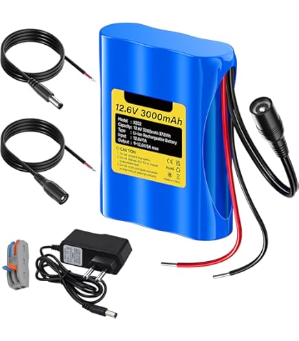 CITYORK Batterie lithium-ion rechargeable 12 V CC 5600 mAh pour caméras de vidéosurveillance, caméscopes, lecteurs MP3, bandes LED et plus encore
