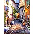 Paint by Numbers for Adults,Paint Numbers on Canvas DIY Acrylic Paints Set for Beginners Acrylic Drawing Paintwork Crafts Landscape-20 X 16 Inches(Without Frame)