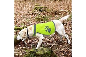 AUTUUCKEE Gilet di sicurezza per cani,Gilet per cani da notte ad alta visibilità,Esercizio costumi riflettenti vestiti per animali