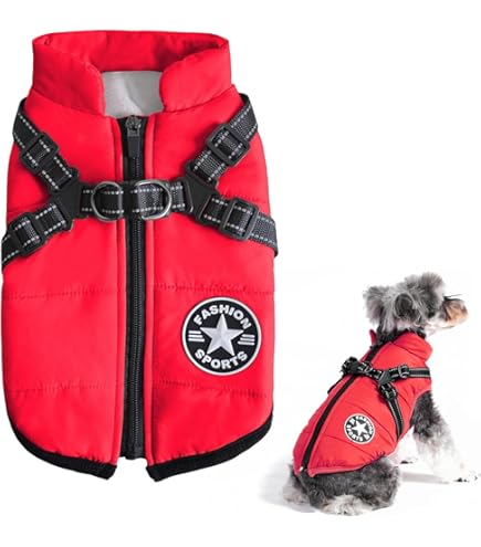 Waterdichte Hondenjas Met Geïntegreerd Harnas – Warm, Reflecterend En Verstelbaar Voor Kleine Tot Middelgrote Honden