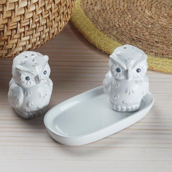 Buy SaSaSa Ceramic Salt and Pepper Shakers Set with Tray | Kitchen