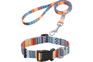 Mihqy Hundehalsband und Leine Set, Verstellbares, Weich & Komfort Nylon Hunde Halsband für Kleine Mittlere Große Hunde Welpen Katzen(Böhmische Orange Set,S)
