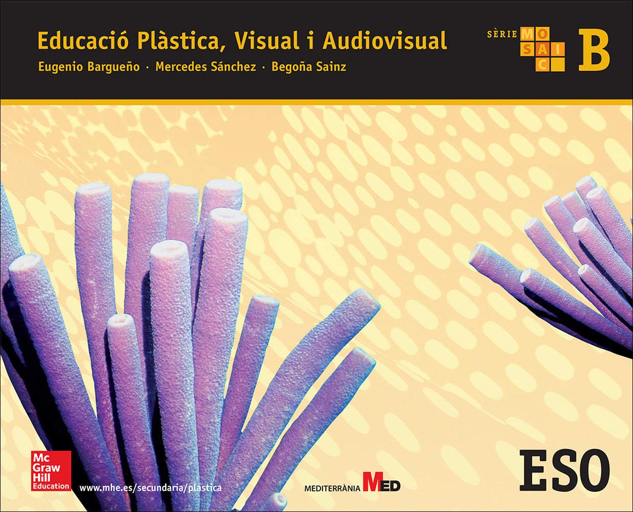 EDUCACIO PLASTICA. VISUAL I AUDIOVISUAL B. MOSAIC