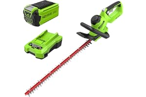 Greenworks G40HT61K2 Tagliasiepi a Batteria, Lame a Doppia Azione da 61cm, Taglia Rami e Steli Fino a 27mm di Spessore, 3000spm, Batteria 40V 2Ah e Caricabatterie, Garanzia 3 Anni